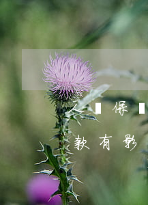 人壽保險(xiǎn)保單貸款逾期六天還款有影響嗎-人壽保險(xiǎn)保單貸款逾期六天還款有影響嗎