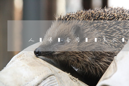 人壽保險合同糾紛怎么處理