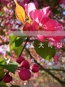 人大可以管法院嗎(市級人大有立法權(quán)嗎)