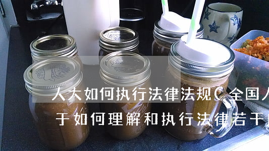 人大如何执行法律法规(全国人大常委会关于如何理解和执行法律若干问题的解答六)