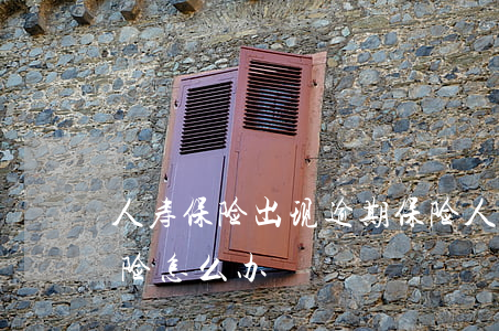 人寿保险出现逾期保险(人寿保险出现逾期保险怎么办)