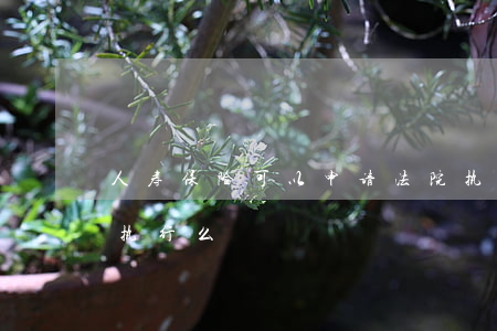 人寿保险可以申请法院执行吗(寿险法院可以执行么)