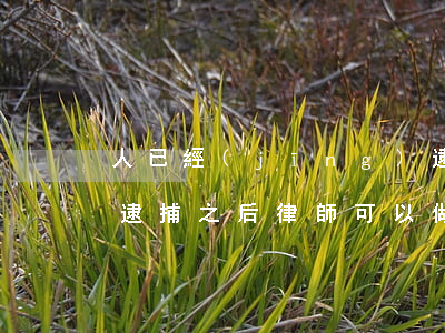 人已經(jīng)逮捕了請律師還可以嗎(逮捕之后律師可以做什么)