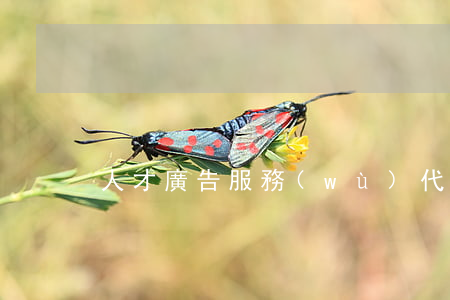 人才廣告服務(wù)代理合同