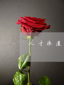 人才派遣合同書