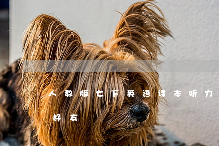 人教版七下英语课本听力（佰仟逾期骚扰微信好友）