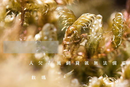 人欠7萬網貸就無法償還(欠了七萬網貸還有救嗎)