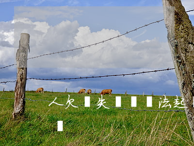 人欠錢失蹤沒辦法起訴（人欠錢失蹤沒辦法起訴）