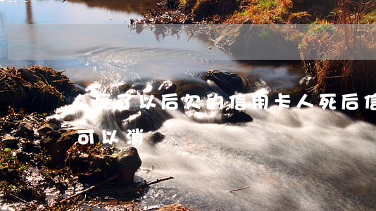 人死了以后欠的信用卡(人死后信用卡有欠款可以消戶嗎)