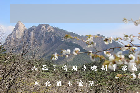 人死了信用卡逾期了家属会被起诉吗（意外去世信用卡逾期）