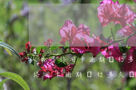 人死了信用卡逾期銀行多久會起訴-人死了信用卡逾期銀行多久會起訴我