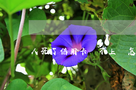 人死了信用卡還不上錢怎么辦啊-