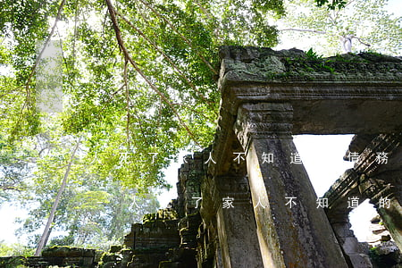 人死了家人不知道的債務(wù)需要還么-人死了家人不知道的債務(wù)需要還么
