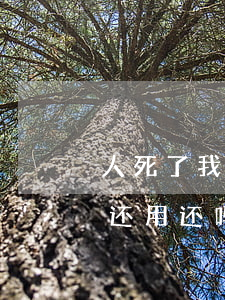 人死了我欠网贷用还嘛(本人死了欠下的网贷还用还吗)