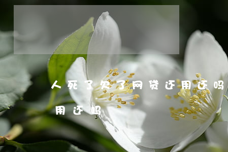 人死了欠了网贷还用还吗(人死了欠的网贷还用还吗)