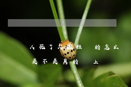 人死了欠微粒貸的怎么辦(人死了微粒貸逾期是不是真的會上門)