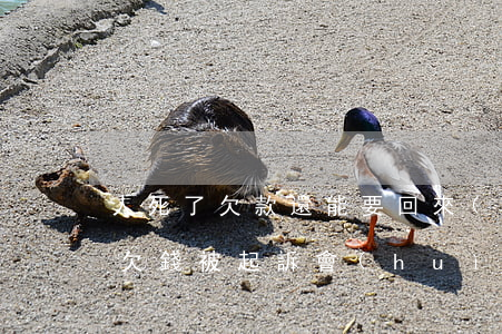 人死了欠款還能要回來(lái)嗎（人死后欠錢被起訴會(huì)有什么后果）