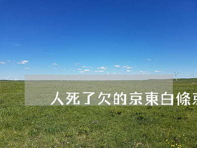 人死了欠的京東白條(京東白條欠款一年)