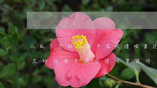 人死了欠的信用卡花呗借呗要还吗-人死了欠的信用卡花呗借呗要还吗