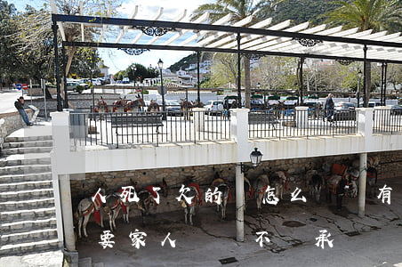 人死了欠的債怎么辦沒有繼承人(人死了債務要家人還嗎,不繼承)