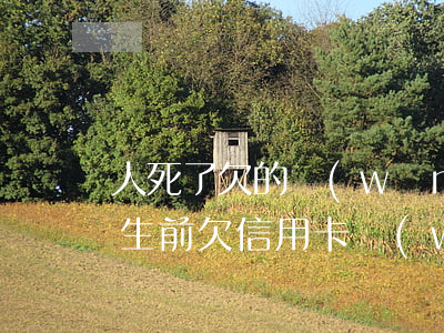 人死了欠的網(wǎng)貸信用卡用還嗎(生前欠信用卡網(wǎng)貸死了錢誰(shuí)來(lái)還)