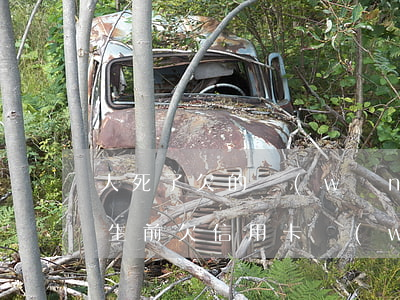 人死了欠的網(wǎng)貸信用卡用還嗎(生前欠信用卡網(wǎng)貸死了錢誰來還)