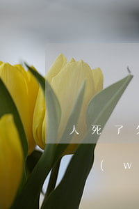 人死了欠的網(wǎng)貸誰會還(人死了網(wǎng)貸不還會連累家人嗎)