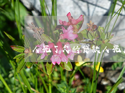 人死了欠的贷款（人死后欠的贷款）