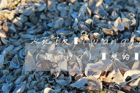 人死了欠網(wǎng)貸需要家人還嗎(網(wǎng)貸欠的錢人死了需要還嗎)