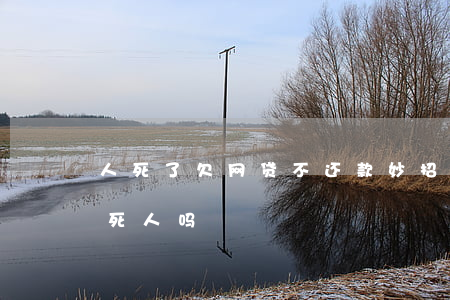 人死了欠网贷不还款妙招(网贷欠款还不起会死人吗?)