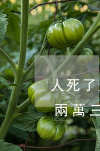 人死了欠農(nóng)業(yè)信用卡兩萬三千元-人死了欠農(nóng)業(yè)信用卡兩萬三千元會(huì)坐牢嗎