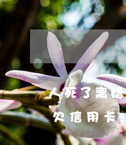人死了离婚了欠的信用卡怎么办-离婚的人欠信用卡!本人死亡