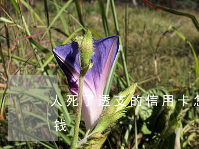 人死了透支的信用卡怎么办(人死了信用卡的钱)