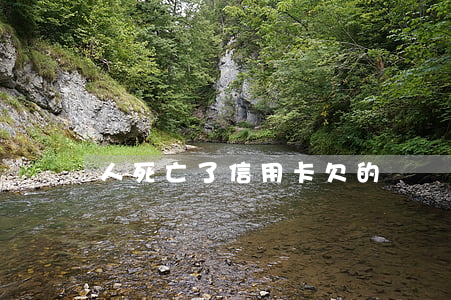人死亡了信用卡欠的錢還用還嗎-