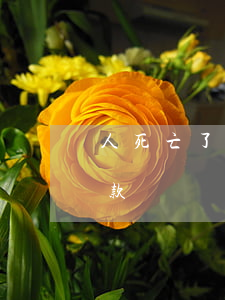 人死亡了信用卡逾期怎么辦(人死亡信用卡欠款)