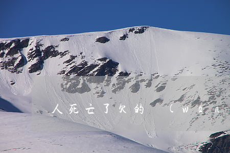 人死亡了欠的網(wǎng)貸信用卡