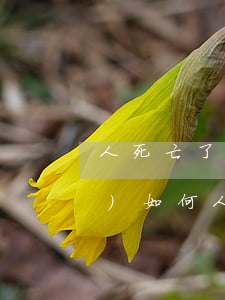 人死亡了欠的網(wǎng)貸會(huì)如何(人死亡了欠的網(wǎng)貸會(huì)如何)
