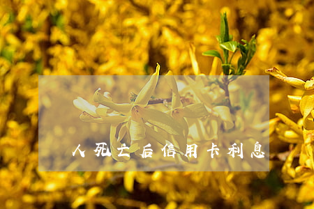 人死亡后信用卡利息