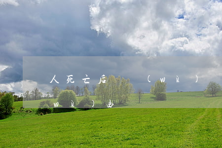 人死亡后債務(wù)誰承擔(人死后債務(wù)由誰償還)