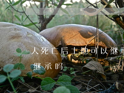 人死亡后土地可以继承吗(人死亡后土地可以继承吗)