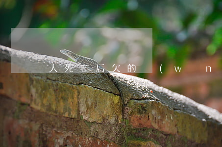 人死亡后欠的網(wǎng)貸怎么辦