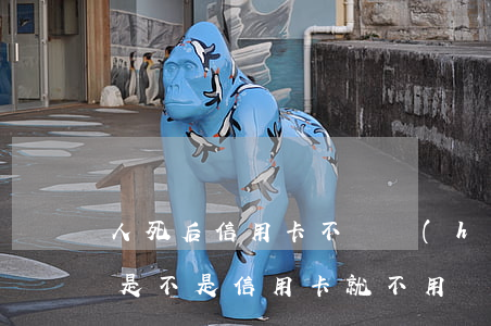 人死后信用卡不還會(huì)咋樣(人死后是不是信用卡就不用還了)