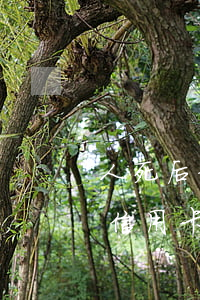 人死后信用卡欠的钱需要母亲还吗-人死后信用卡欠的钱需要母亲还吗知乎