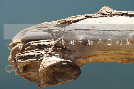 人死后信用卡能不還利息嗎(人死后信用卡用不用還)