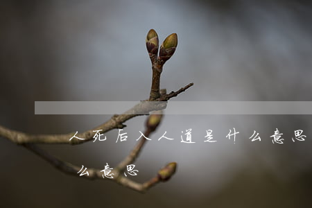人死后入人道是什么意思(人死后入什么道什么意思)