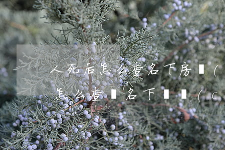 人死后怎么查名下房產(chǎn)(人身故怎么查詢名下財產(chǎn))