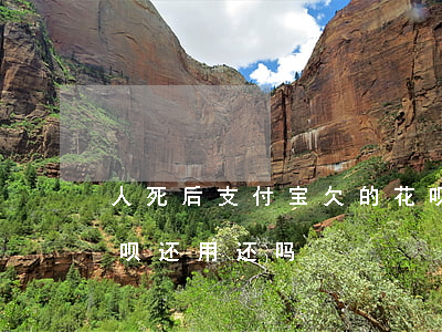 人死后支付宝欠的花呗还用还吗(人死掉了花呗还用还吗)