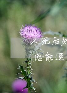人死后欠的信用卡保险(人死后欠的信用卡保险能退吗)