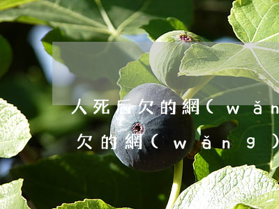 人死后欠的網(wǎng)貸怎么辦(人死了欠的網(wǎng)貸款需要還嗎)