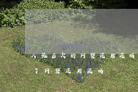 人死后欠的网贷还用还吗(如果欠网贷的人死了,网贷还用还吗)